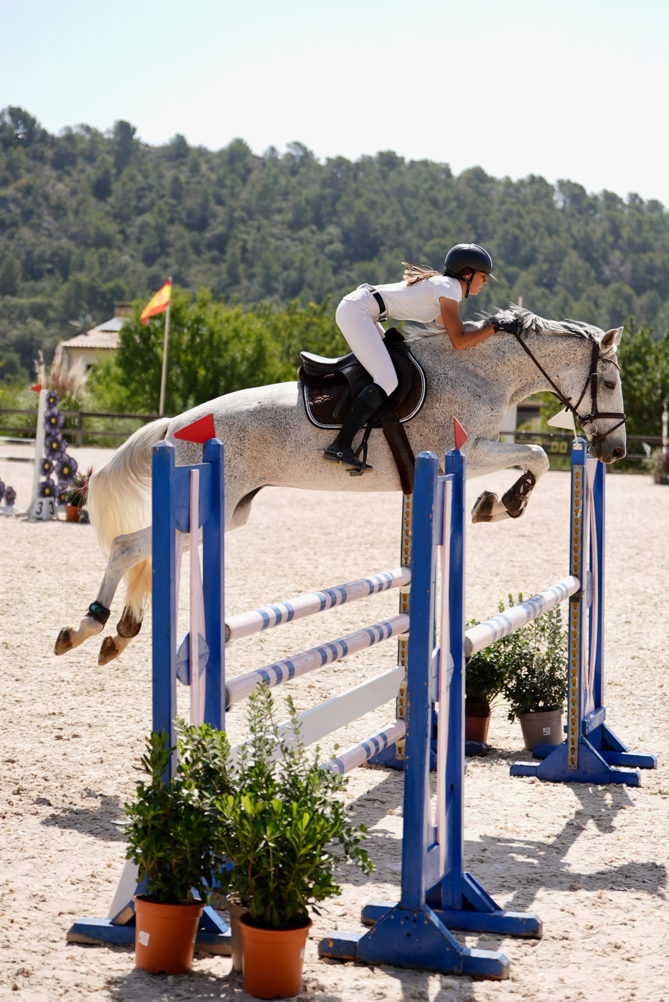 Grey horse jumping