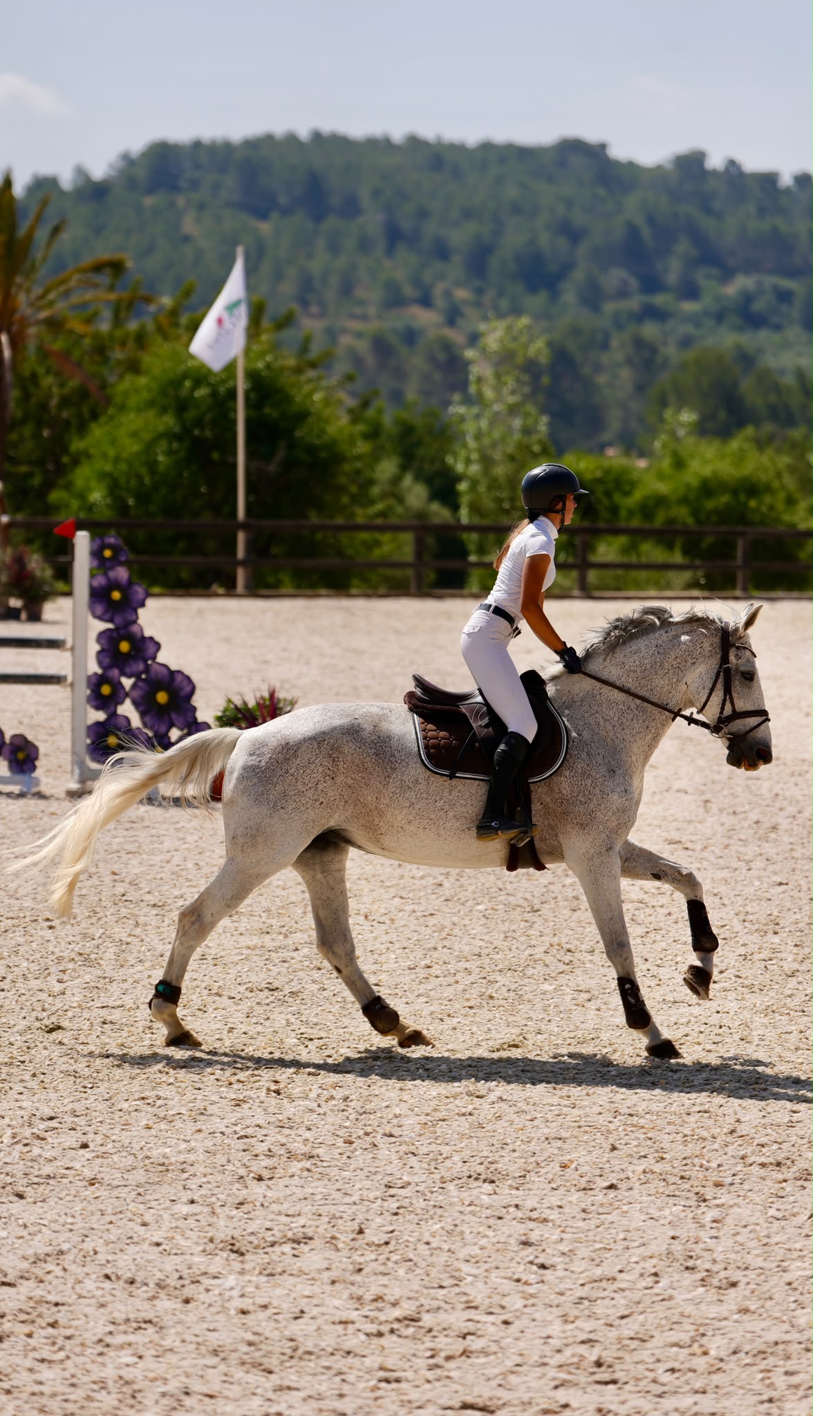 Canter